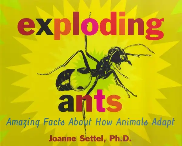 Exploding Ants : Amazing Facts About How Animals Adapt