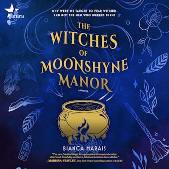 The Witches of Moonshyne Manor - undefined
