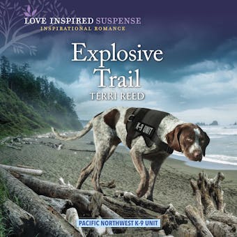 Explosive Trail - Terri Reed