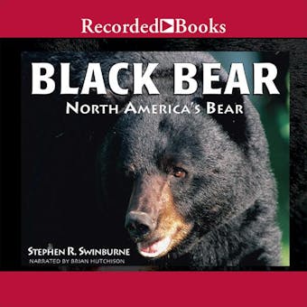 Black Bear: North America's Bear - undefined