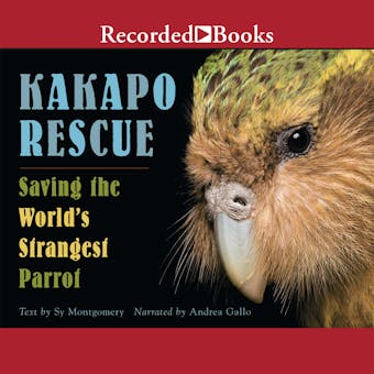 Kakapo Rescue: Saving the World's Strangest Parrot - Sy Montgomery