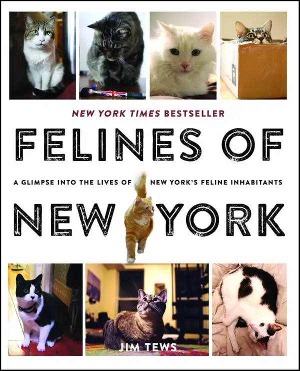 Felines of New York: A Glimpse Into the Lives of New York's Feline Inhabitants