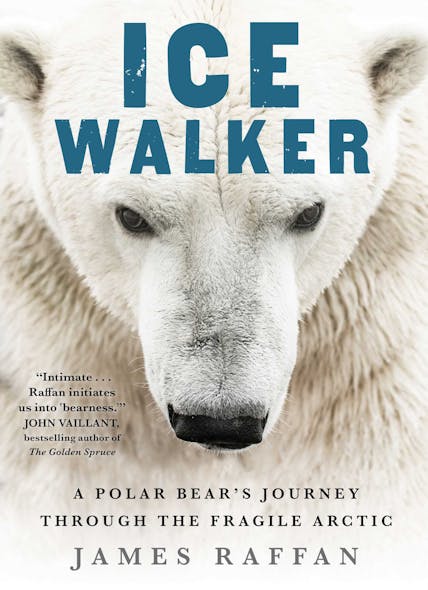 Ice Walker : A Polar Bear's Journey Through The Fragile Arctic