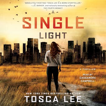 A Single Light: A Novel - Tosca Lee