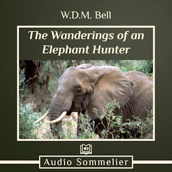 The Wanderings of an Elephant Hunter - W.D.M. Bell