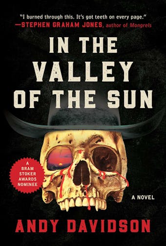 In the Valley of the Sun: A Novel - Andy Davidson
