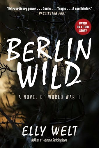 Berlin Wild: A Novel of World War II - Elly Welt