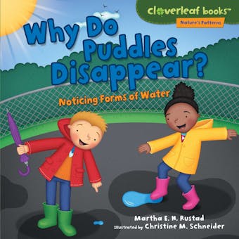 Why Do Puddles Disappear?: Noticing Forms of Water - Martha E. H. Rustad