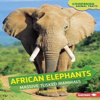 African Elephants: Massive Tusked Mammals - undefined