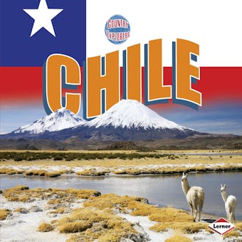 Chile - Jennifer A. Miller