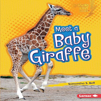 Meet a Baby Giraffe - undefined