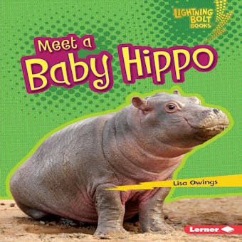 Meet a Baby Hippo - undefined