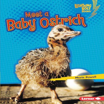Meet a Baby Ostrich - undefined