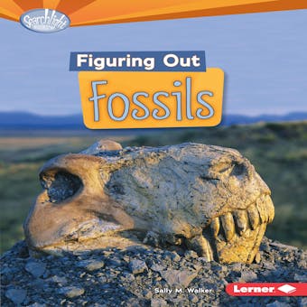 Figuring Out Fossils - undefined