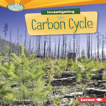 Investigating the Carbon Cycle - undefined