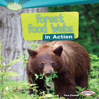 Forest Food Webs in Action - undefined