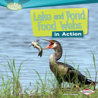 Lake and Pond Food Webs in Action - undefined