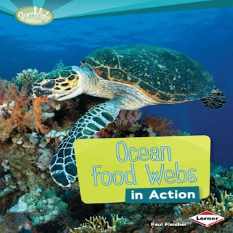 Ocean Food Webs in Action - undefined