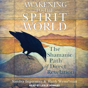Awakening to the Spirit World: The Shamanic Path of Direct Revelation - undefined