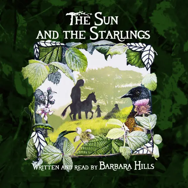 The Sun and the Starlings