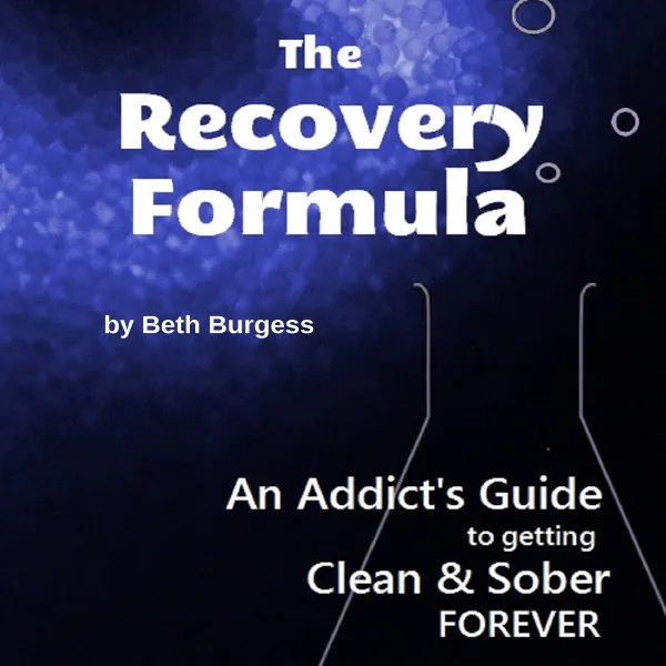 The Recovery Formula : An Addict's Guide to Getting Clean & Sober FOREVER