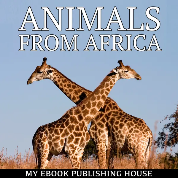 Animals from Africa : 