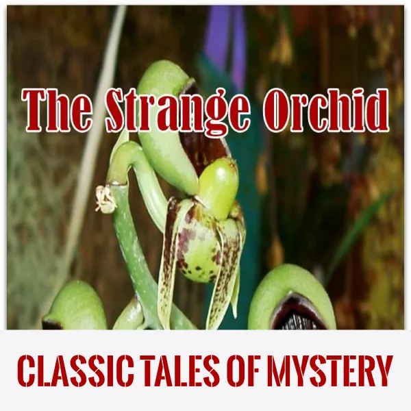 The Strange Orchid : 