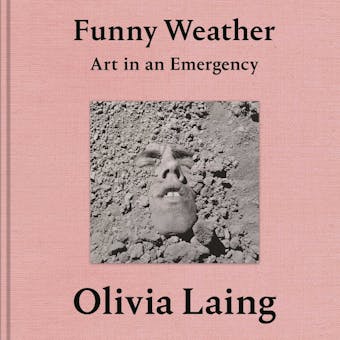 Funny Weather: Art in an Emergency - Olivia Laing