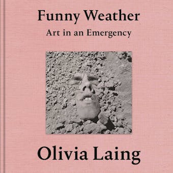 Funny Weather: Art in an Emergency