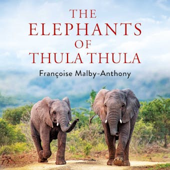 The Elephants of Thula Thula - Françoise Malby-Anthony