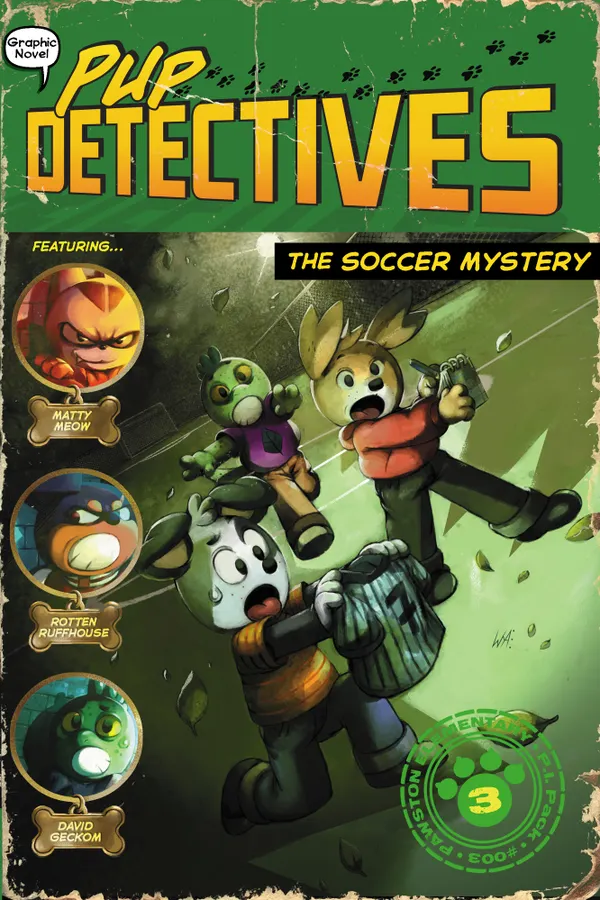 The Soccer Mystery