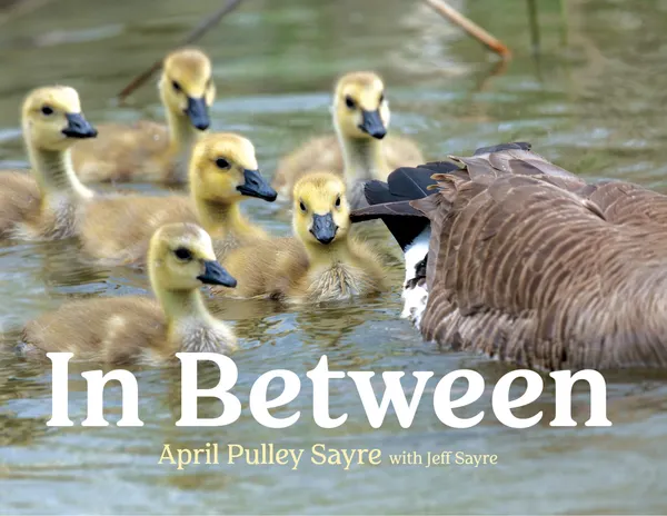 In Between