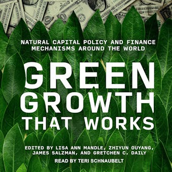 Green Growth That Works: Natural Capital Policy and Finance Mechanisms Around the World - James Salzman, Lisa Ann Mandle, Zhiyun Ouyang, Gretchen C. Daily