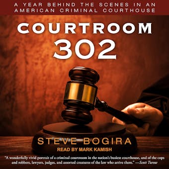 Courtroom 302: A Year Behind the Scenes in an American Criminal Courthouse - undefined