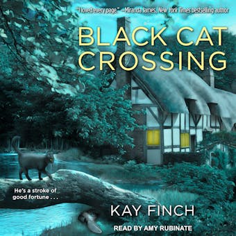 Black Cat Crossing - undefined