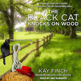The Black Cat Knocks on Wood - undefined