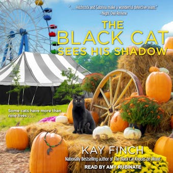 The Black Cat Sees His Shadow - Kay Finch
