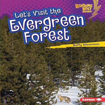 Let's Visit the Evergreen Forest - undefined