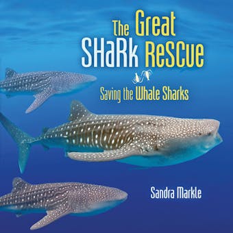 The Great Shark Rescue: Saving the Whale Sharks - undefined