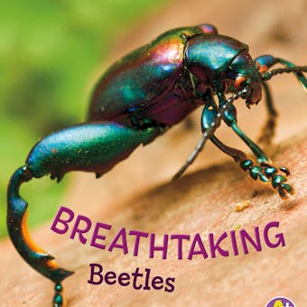 Breathtaking Beetles - undefined