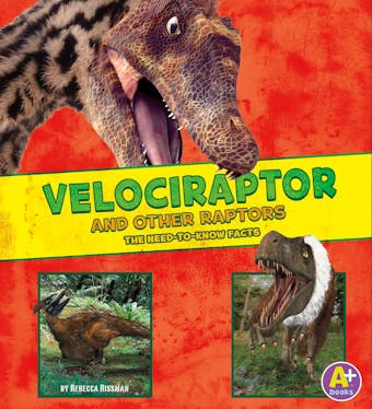 Velociraptor and Other Raptors: The Need-to-Know Facts - Rebecca Rissman