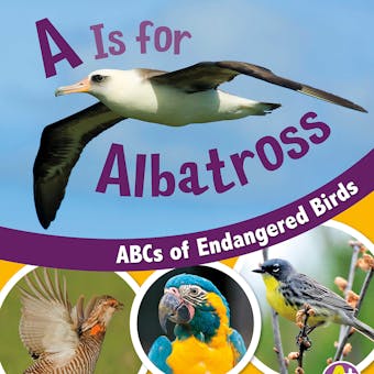 A Is for Albatross: ABCs of Endangered Birds - undefined