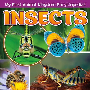 Insects - undefined