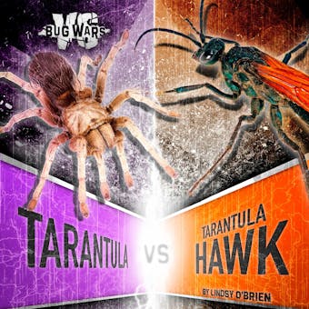 Tarantula vs. Tarantula Hawk: Clash of the Giants - undefined