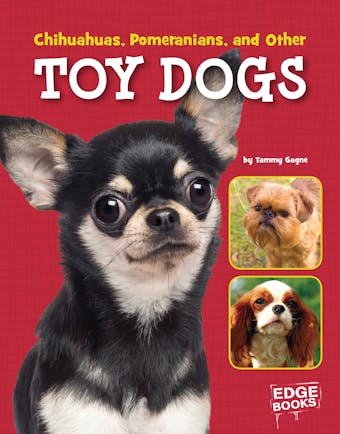 Chihuahuas, Pomeranians, and Other Toy Dogs - undefined