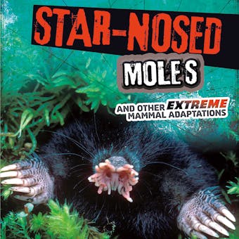 Star-Nosed Moles and Other Extreme Mammal Adaptations - undefined