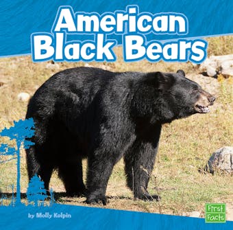 American Black Bears - undefined