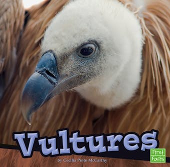 Vultures - undefined