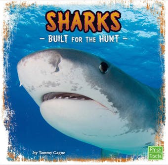 Sharks: Built for the Hunt - undefined