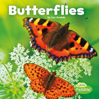 Butterflies - undefined